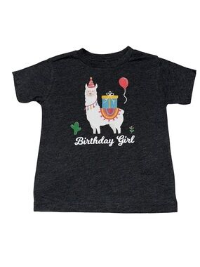 NWOT Girls Custom Birthday Girl Shirt Llama Balloons Cactus Serape Toddler 4T